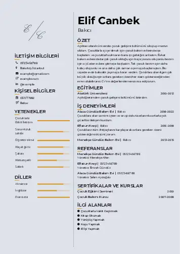 Bakıcı Cv Örnekleri cv indir